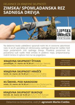 Delavnice za krajevne skupnosti (Postojna) 1